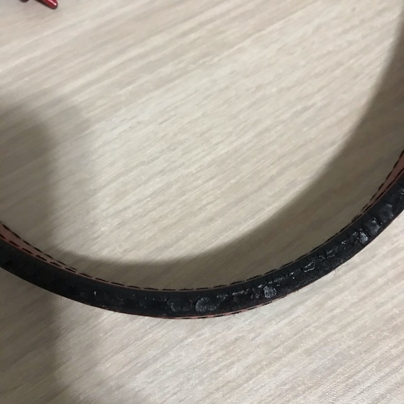 LV Epi Noe🌹 - Picture 13 of 15